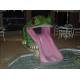 Frog fiberglass pool Water Slide (ZC/CW/Frog-02)