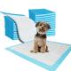 High Absorbency Blue / White Disposable Pee Pads For Dogs