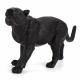 Realistic Big Panther Animal Model Figurines School Project Toys For 5 6 7 8 Years Old Boys Girls Kid
