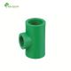 Thermosetting Plastic Pipe PPR Reducing Tee for and Efficiency Plumbing Materials