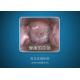 High Definition Video Gynecological Apparatus Digital Electronic Colposcope AV/USB output