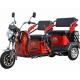 Family Passenger Seat Small 30km/H 3 Wheel Motorized Trike