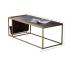 Modern Living Room Furniture Gold Console Table with Simple and Elegant Gold Design