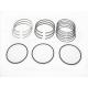 H07D FD 110.0mm Piston Oil Ring 3+2+4 6 No.Cyl High Standardly For Hino