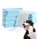 Sustainable Pet Supply Dog Training Pads with High Absorbency and Breathable PE Back Film