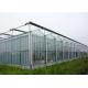 Polycarbonate Plastic Film Multi Span Agricultural Greenhouse