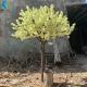 Yellow Fake Sakura Tree For Restaurant Decoration , Artificial Cherry Blossom Tree