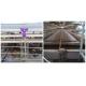 Large Capacity Layer Bird Cage , Furnished Cages For Laying Hens / Duck