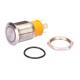 Ip67 19mm Stainless Steel Push Button Switch Led Illuminated For Car