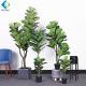 Green Artificial Ficus Plant , Ficus Lyrata Plant For Home Decoration R020002