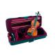 Waterproof EVA Classical Guitar Case 1680D Polyester Surface