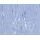 5-Gerflor Evercare coating directional Homogeneous  PVC vinyl flooring roll-TROPLAN PLUS MIPOLAM