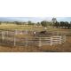 13Panel Cattle Corral Panels  Inc Gate, Round Yard, Cattle Fences  9m Diameter