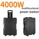 AC Pure Sine Wave Output Waveform 4000W Portable Power Station 220V with Customization