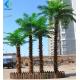 Customizable Size Fake Coconut Tree , Large Faux Palm Tree For Hotel Decoration
