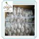 High Quality Chinese Garlic China Garlic Price newest price of fresh garlic