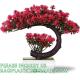 Artificial Bonsai Tree Juniper Faux Plants Indoor Fake Plants Decor with Ceramic Pots for Home Table Office Desk