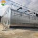 Large Polycarbonate Greenhouse for Vegetable and Flower Cultivation