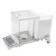 Count Weighing Digital Analytical Balance