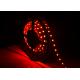 SMD 5050 White Led Flexible Strip 4000k , Color Changing Led Strip Indoor Use