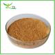 High quality Mullein Flower Extract/10:1 Mullein Extract Powder