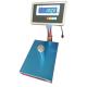 Programmable Li battrey Bench Weighing Scale 450X600mm pan size