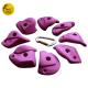 8pcs Glass Resinforced Polyester Gecko King Bouldering Climbing Walls for All Climbers