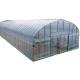 2.5-5M Height Tomato Hydroponic High Tunnel Agriculture Greenhouse with Film Cover