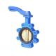DN65 Electric Motor Operated Ductile Iron Butterfly Valve with Customized Service