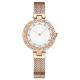 Diamond Fashion Wrist Watch Bezel Drill Mesh Belt Ladies Watch