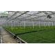 Customizable Size and Juxiang prime s Anti-Drip Fogging Structure for Seedlings Perfect