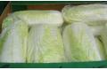 Stable price of Chinese cabbage