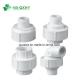 100% Material High Thickness Pn16 BSPT Threaded PVC Pipe Fitting for Water Supply