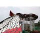 Amusement Park Adult Fiberglass Water Slides with Galvanized Carbon Steel Frame