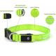 Sturdy Durable LED Dog Collar USB Rechargeable Customized 5 Sizes Option