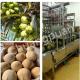 Normal Temperature Coconut Water Extraction Machine 0.5-25T/H