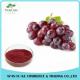 Anti-inflammation Natural Grape Skin Extract Powder 5% Resveratrol