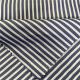 100% Polyester Yarn-Dyed Imitation Memory Wind Breaker Fabric Stripe 75D*75D 100gsm 150CM Water-Proof Winkle Free