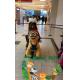 Hansel  shopping mall large coin operated unicorn electric scooter with battery