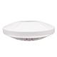 2.4G Ceiling Wireless Access Point Single Frequency Wireless WiFi Coverage
