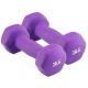 2KG Hex Dumbbell, Plastic Dip Dumbbell，Small Dumbbells for Slimming Fitness women yoga