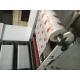 RY-320/480-5C-B PP Film Flexo Printing Machine and Die Cutting from Ruian Manufacturer