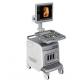 CFM PW Mode 4d Ultrasound Equipment / Abdominal Ultrasound Machine