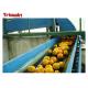 Automation Orange Juice Processing Line , Fruit Juice Manufacturing Plant Orange Extractor