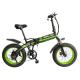 Fat Tyre 20 Inch E Bikes 10MPS WIth Hidden Battery ODM Available