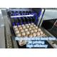 High Speed Egg Printing Machine With Various Colors Food Grade Ink Can Choose