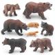Brown Bear Life Cycle Figure Model Toy For Boys Girls Kids