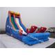 Commercial inflatable dophin slide , inflatabl mega slide , giant slip n slide , dry slide