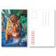 Tear - Proof 3D Animal Postcard Custom Tiger Design Printing Size 11x16cm