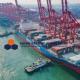Logistics International Shipping Freight Forwarder From China to Australia DDU